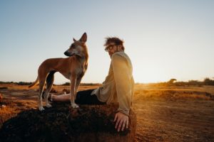 7 Key Tips On How To Travel With A Pet