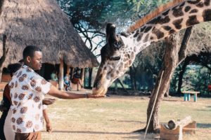 Fun Activities To Do In Africa When You Visit